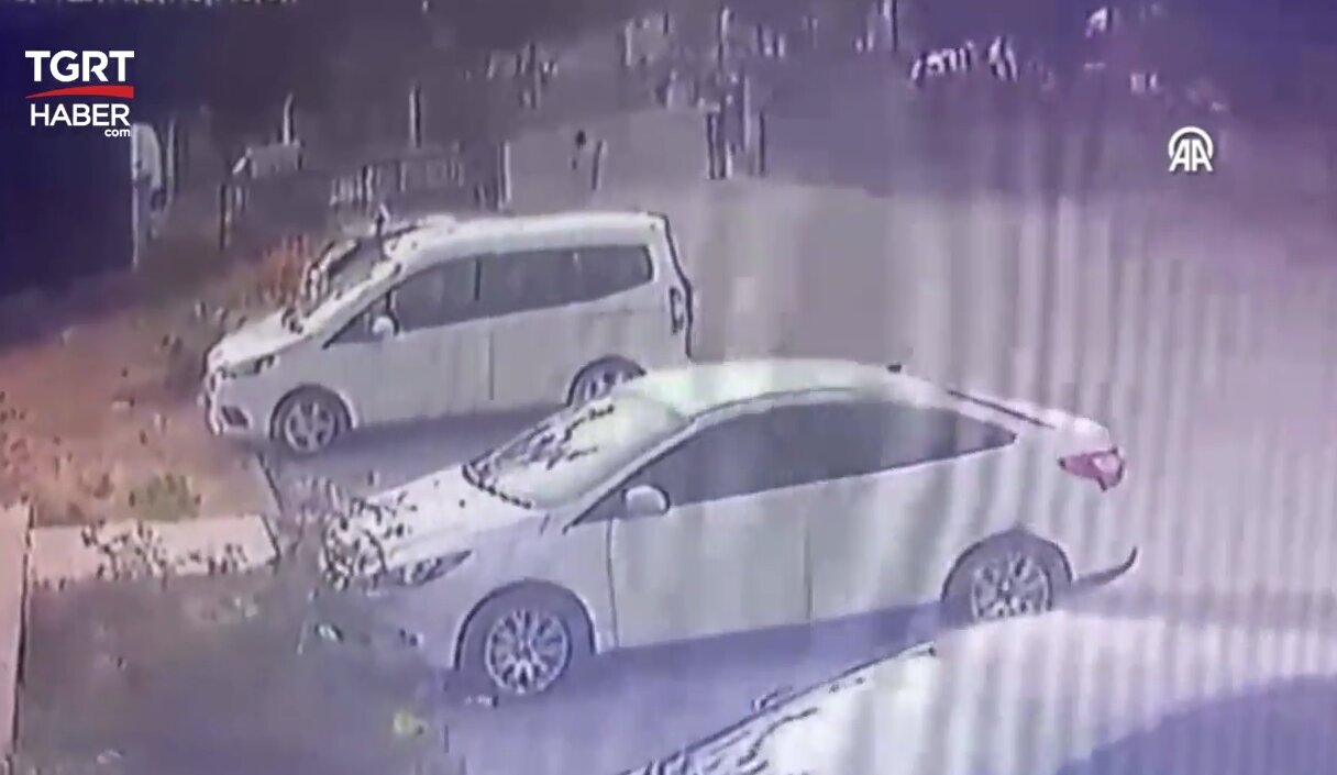 ببینید | وحشت یک کودک از تعقیب سگ‌ها؛ پدر از فاجعه احتمالی جلوگیری کرد